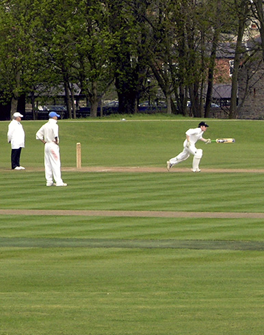 Insurance for cricket clubs